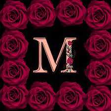 m dp image